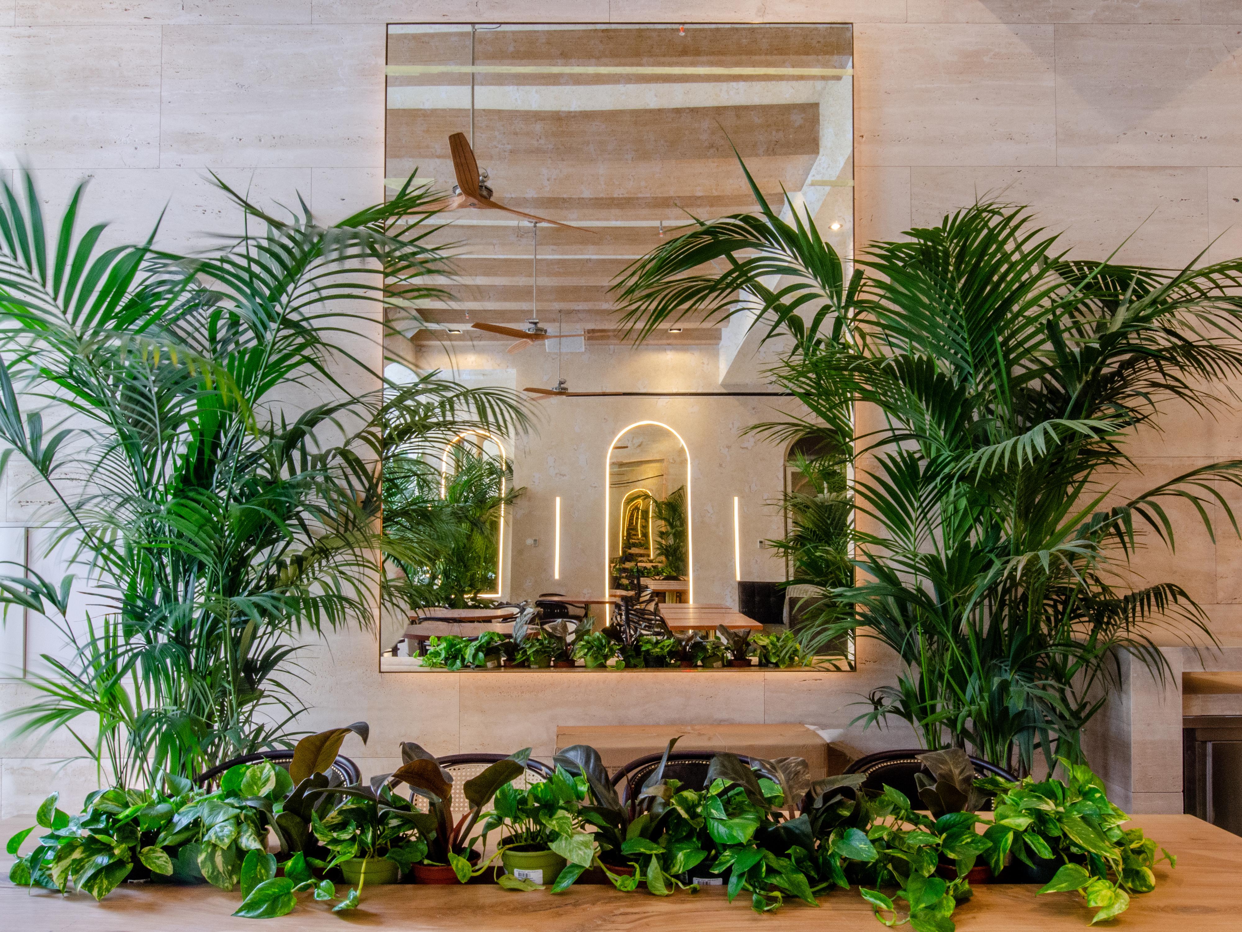 Browns Avenue Hotel Lisboa Εξωτερικό φωτογραφία The interior of the restaurant